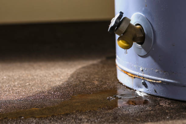 Best Water damage restoration near me  in Charlestown, IN