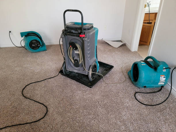 Best Water damage restoration specialists  in Charlestown, IN