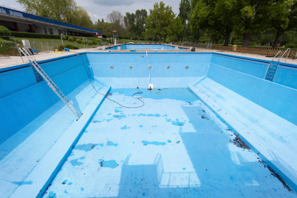 Best Water damage contractors near me  in Charlestown, IN