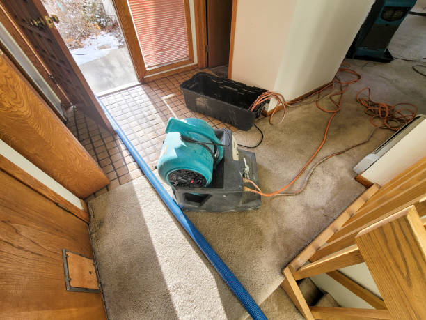 Best Residential water damage restoration  in Charlestown, IN