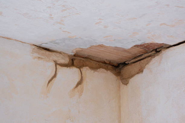 Best 24-hour water damage restoration  in Charlestown, IN