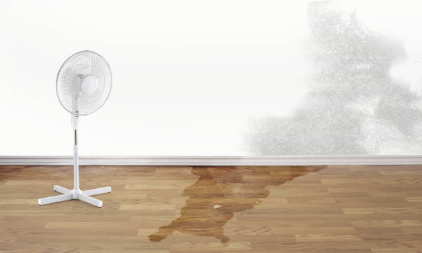 Best Ceiling water damage repair  in Charlestown, IN