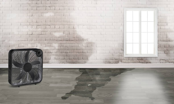 Best Commercial water damage restoration  in Charlestown, IN
