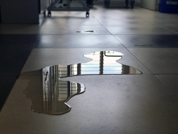 Best Water damage restoration near me  in Charlestown, IN