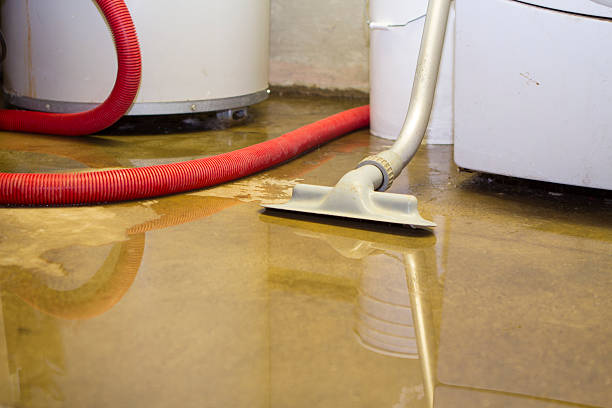 Best Water damage contractors near me  in Charlestown, IN