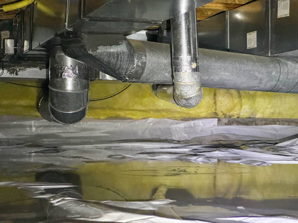 Best Water damage restoration cost  in Charlestown, IN