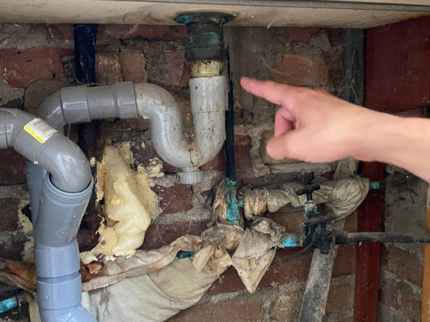 Best Flooded house restoration  in Charlestown, IN