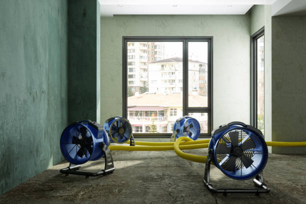 Best Fire Damage Restoration  in Charlestown, IN